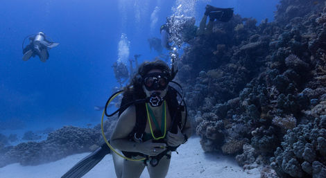Underwater scuba diver with mask and regulator exploring a tropical coral reef and sandy seabed, with a group of divers in the blue ocean background.