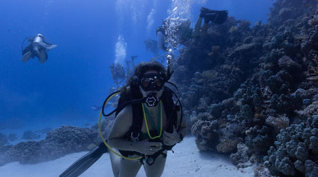 Scuba divers exploring a vibrant coral reef in clear blue tropical water — lone diver with regulator in the foreground, bubbles rising above a sandy seafloor.