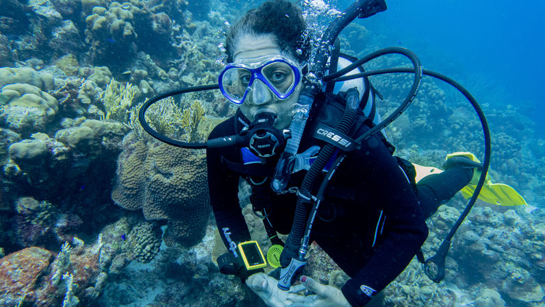 Scuba diver with mask and regulator exploring a vibrant tropical coral reef, yellow fins and rising bubbles visible