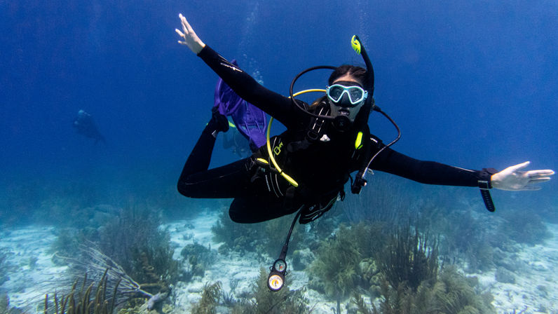 Scuba diver in black wetsuit and purple fins gliding with arms outstretched over a shallow tropical coral reef in clear blue ocean water, wearing mask, regulator, and dive gauges