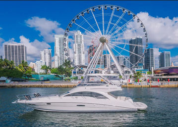 Private Yacht Charters in Miami: Luxurious Vessels for Every Occasion BYOB image 9