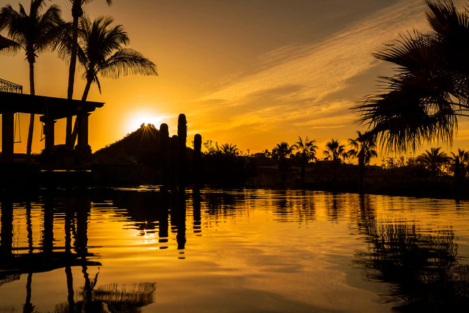 Golden tropical sunset with palm trees and cacti silhouettes mirrored in a calm lagoon reflection