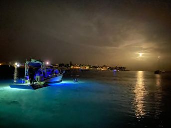 Palm Beach Luxury Yacht & Day Boat Cruises image 52