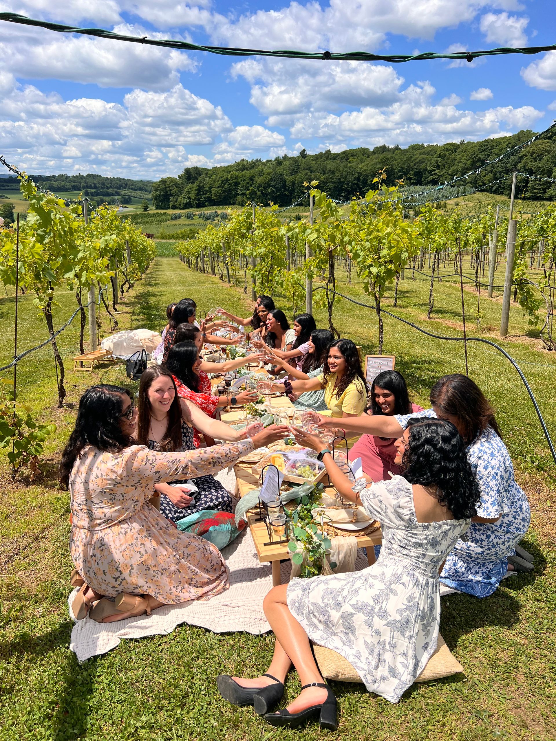 Cheerful friends toasting at a long picnic table in a sunlit vineyard, surrounded by neat rows of grapevines, rolling green hills and a bright blue sky — summer wine-tasting countryside scene.