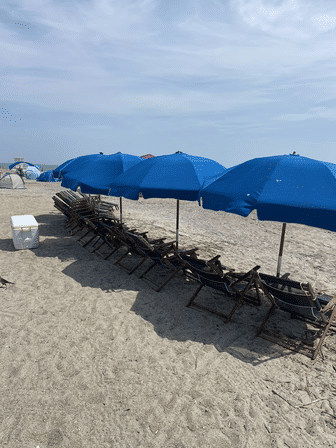 Sandy beach with a row of bright blue umbrellas shading stacked wooden lounge chairs, white cooler, calm ocean and pale blue sky