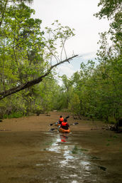 Guided Swamp Kayak Tour Through Maurepas Swamp image 2