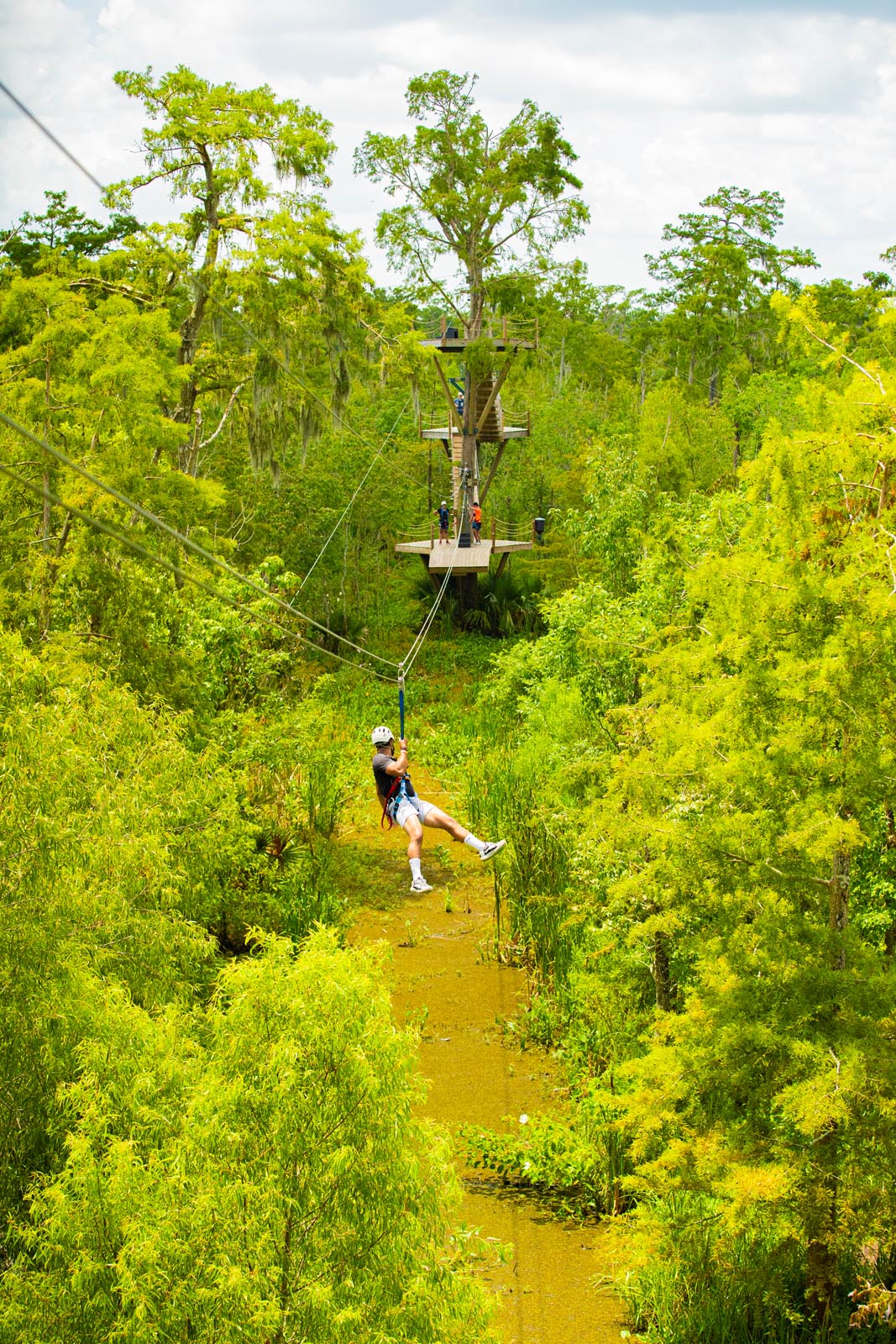 Thrill-seeker ziplining over a mossy cypress bayou, suspended between wooden canopy platforms amid bright green swamp foliage.
