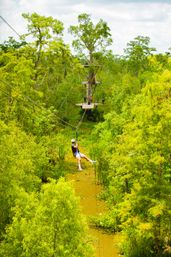Thrill-seeker ziplining over a mossy cypress bayou, suspended between wooden canopy platforms amid bright green swamp foliage.