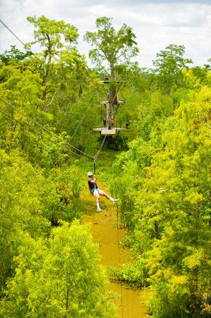 Thrill-seeker ziplining over a mossy cypress bayou, suspended between wooden canopy platforms amid bright green swamp foliage.