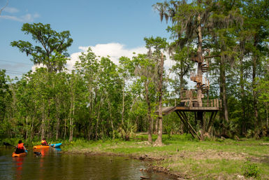 Guided Swamp Kayak Tour Through Maurepas Swamp image 4