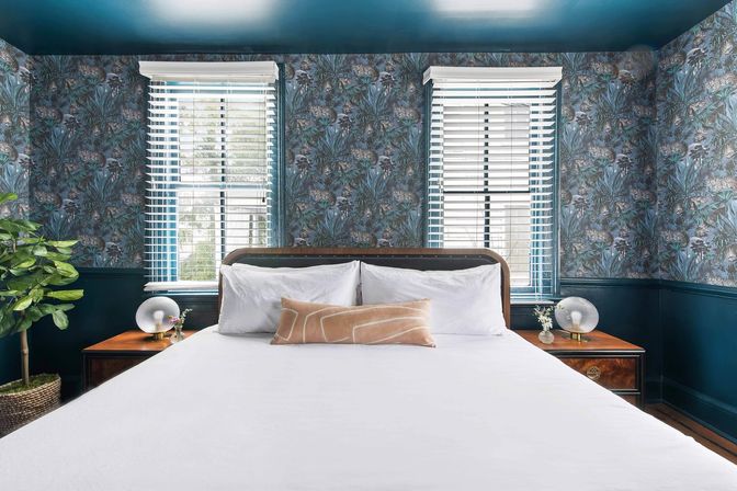 Stylish cozy bedroom with large white bed and tan lumbar pillow, navy botanical wallpaper and wainscoting, two windows with white blinds, wooden nightstands and potted plant.