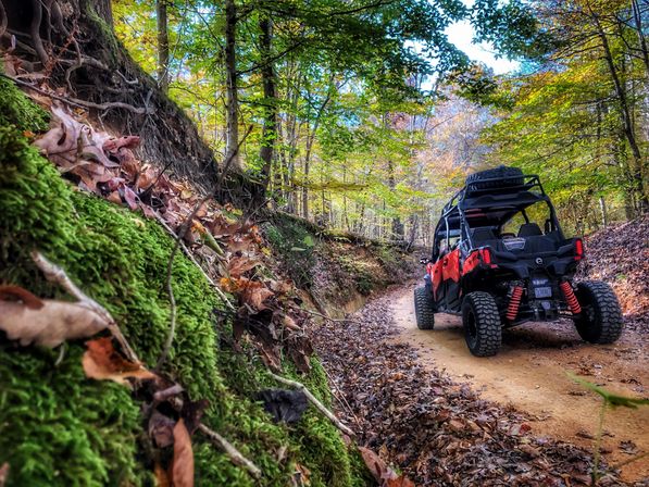 Red off-road UTV on a narrow dirt trail winding through an autumn woodland, with moss-covered bank and fallen leaves in the foreground.
