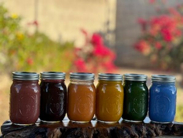 Six colorful mason jars of smoothies and juices (red, purple, orange, yellow, green, blue) lined up on a rustic log with a blurred backyard garden background.