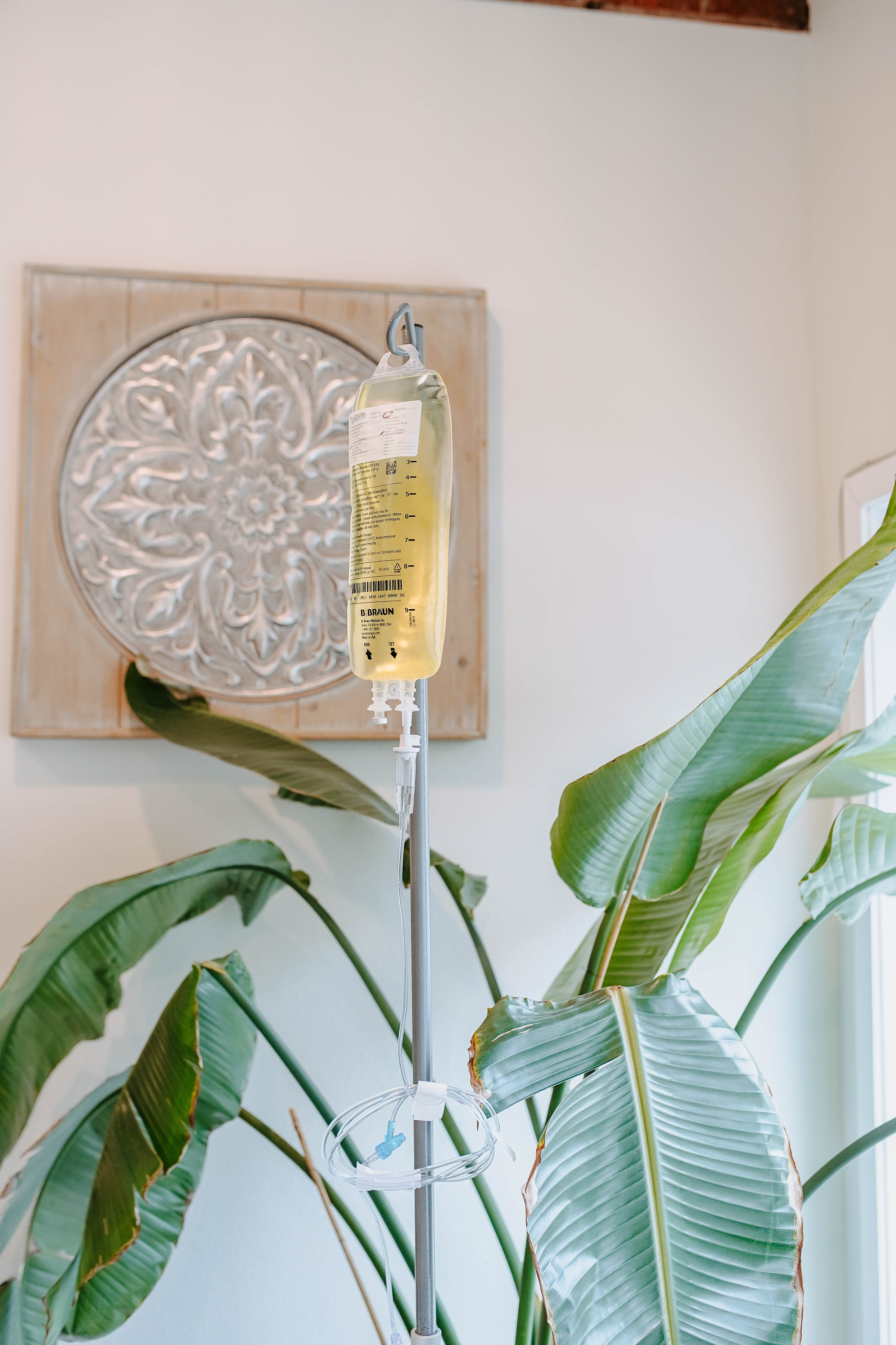 Yellow IV drip bag hanging from a metal pole beside large tropical plant and carved wall medallion in a bright wellness room