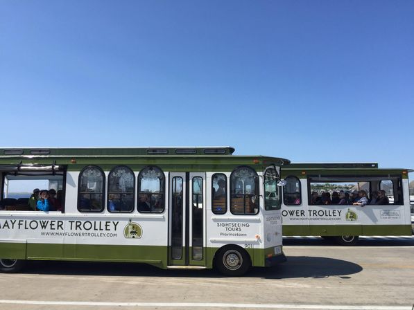 Two green-and-white sightseeing trolleys with seated passengers parked on a sunny Provincetown harbor pier under a clear blue sky