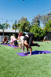 Sunny outdoor yoga class with participants practicing arm-balance and crow poses on purple mats on a green lawn, palm trees, string lights and clear blue sky in the background