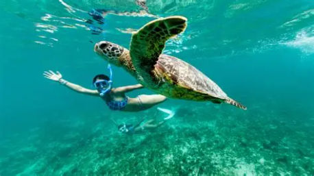 Private Catamaran, Yoga and Snorkeling Experience in Tulum image 4