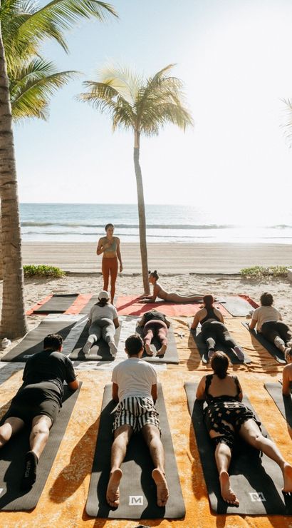 Ignara Wellness