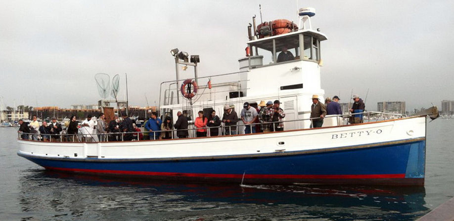 Marina del Rey Sportsfishing Whale Watching Cruise image 6