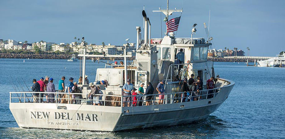 Marina del Rey Sportsfishing Whale Watching Cruise image 5