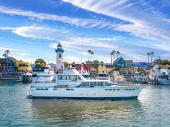 Ocean Adventure Cruise with Dolphins & Whales image 2