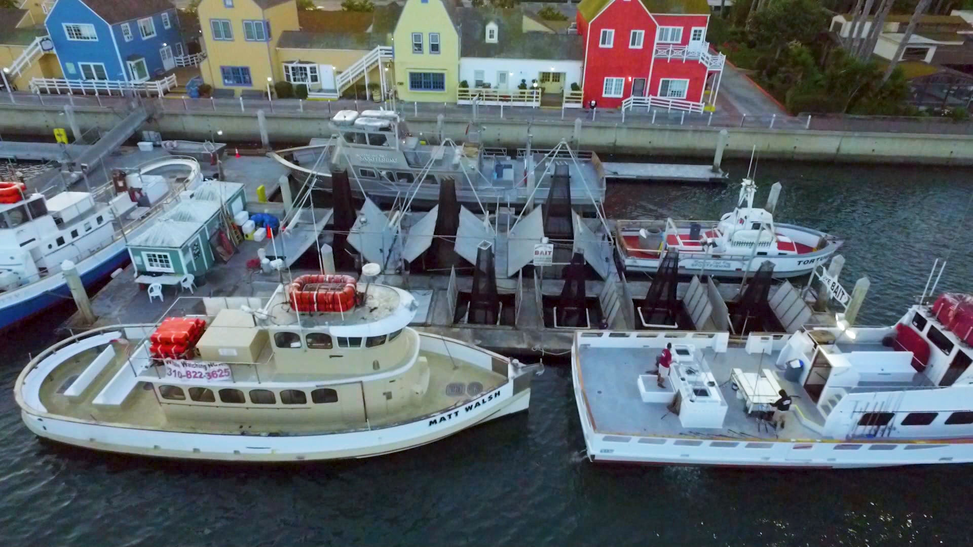 Marina del Rey Sportsfishing Whale Watching Cruise image 4