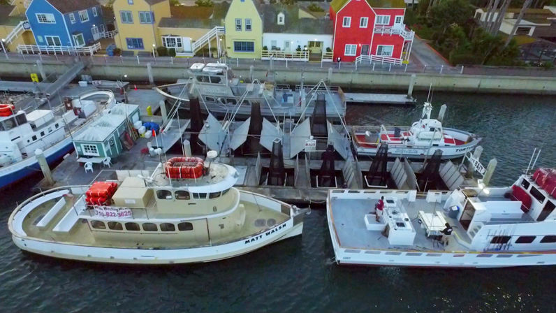 Marina del Rey Sportsfishing Whale Watching Cruise image 4