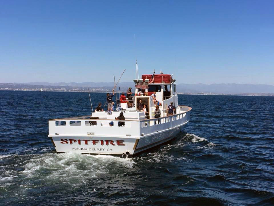 Marina del Rey Sportsfishing Whale Watching Cruise image 2