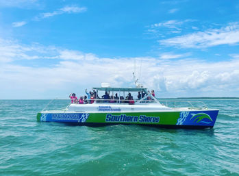 Colorful green-and-blue passenger catamaran dolphin-watch tour with people waving on turquoise coastal waters under a sunny blue sky with scattered clouds.