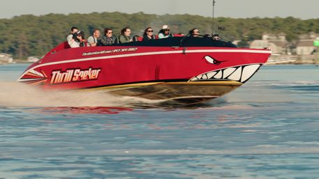 Red speedboat with shark-mouth graphic and seated passengers skimming across calm coastal water near a tree-lined shoreline and waterfront homes