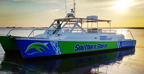 Bright green-and-blue catamaran tour boat with open deck and canopy on calm coastal waters at sunset, ready for a dolphin-watching cruise.