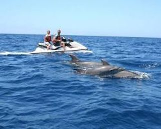 Two people on a jet ski encounter dolphins swimming alongside in deep blue open ocean beneath a clear sunny sky