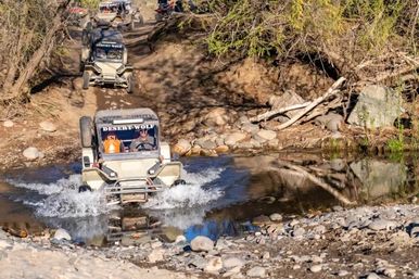 Off-road UTVs splashing through a shallow creek on a rocky dirt trail amid scrubby trees and sunlit riverbank