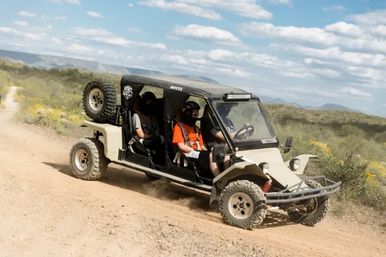Off-road dune buggy kicking up dust on a desert trail with three helmeted riders, scrub vegetation and distant mountains under a blue sky.