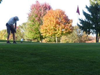 Golfer putting on a sunlit green toward a red flag, framed by vibrant orange and red autumn trees and a nearby golf cart.
