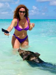 Smiling woman in a purple bikini wading in clear turquoise tropical water, offering a treat to a swimming pig at a sunny shallow beach