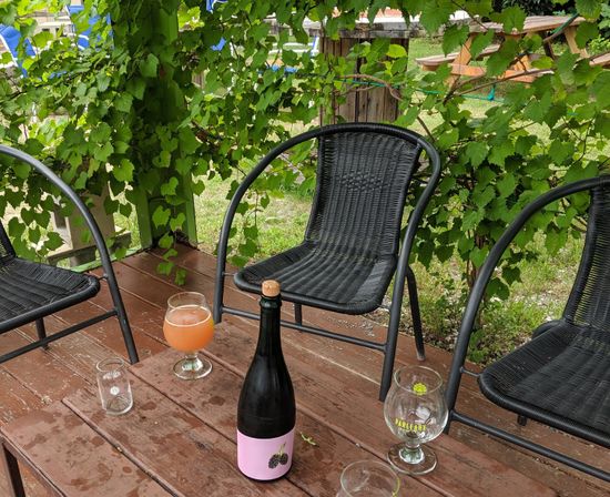 Cozy backyard deck with black wicker chairs under a grapevine pergola, wooden picnic table holding a bottle with a pink berry label, a hazy peach-colored beer in a tulip glass and empty tasting glasses.