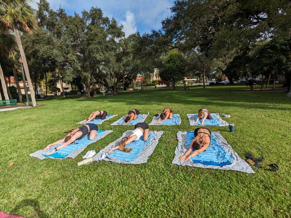 Outdoor yoga class in a palm-lined urban park — a group of people stretching on blue mats laid out on a sunlit green lawn.