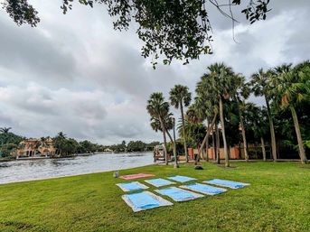 Tropical riverfront park with tall palm trees and a grid of blue and pink yoga mats laid on green grass beside a wide river under a cloudy sky
