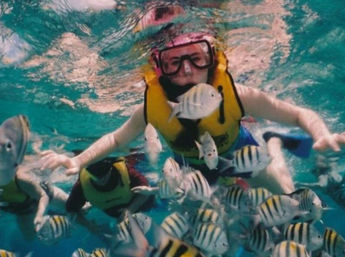 Snorkeler wearing a yellow life vest and pink mask swimming among a school of black-and-white striped sergeant major fish in clear turquoise tropical water