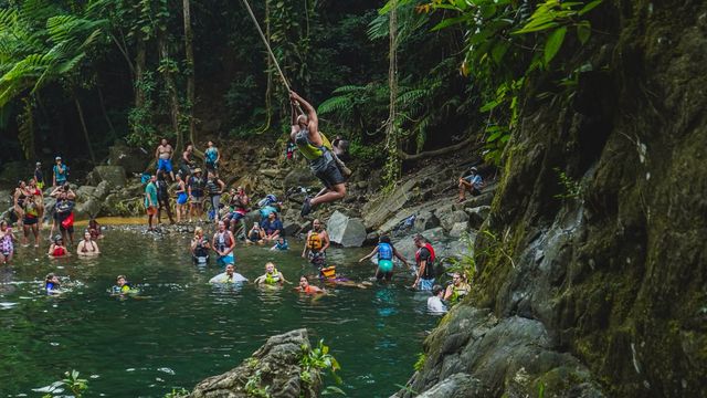 Top Rated - El Yunque Rainforest & Waterslide - Small Group Tour image 4
