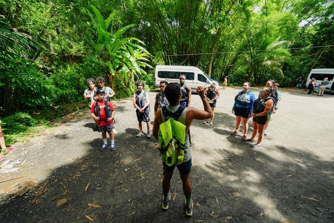 Top Rated - El Yunque Rainforest & Waterslide - Small Group Tour image 9
