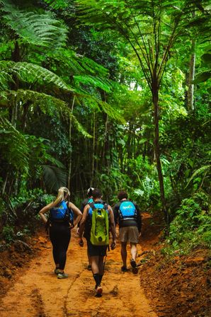 Top Rated - El Yunque Rainforest & Waterslide - Small Group Tour image 8