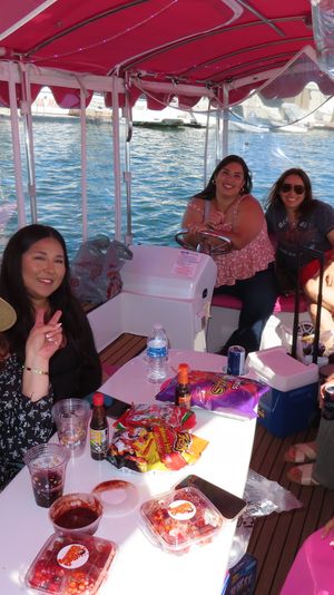 Smiling group of women on a pink‑canopied pontoon boat at a sunny marina with snacks and drinks on the table.