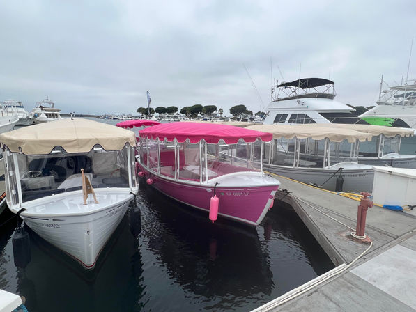 Bright pink covered passenger boat moored at a busy marina dock between beige-canopied boats and white yachts, reflections on calm water under an overcast sky.