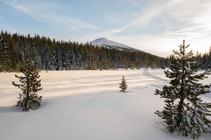 Sunlit snowy alpine meadow with small pine trees and cross-country ski tracks leading to a forested mountain under a pale blue sky