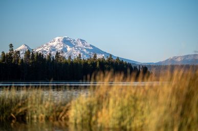 Downey Pines - 5BD Luxurious Mtn Home in Sunriver image 15