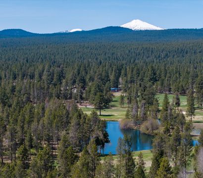 JC Collective LLC (DBA Downey Pines Retreat)