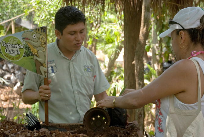 Tour guide holding a colorful 'Recorrido Guiado' (guided tour) sign with a cartoon iguana while giving a hands-on demonstration to a visitor in a shaded tropical forest eco-tour setting.