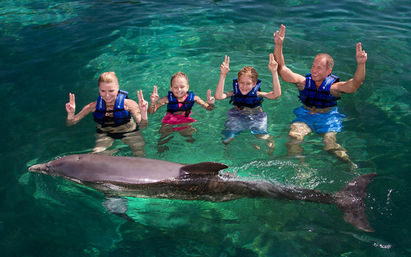 Swim With Dolphins in Cancún: Multiple Locations, All Ages image 6